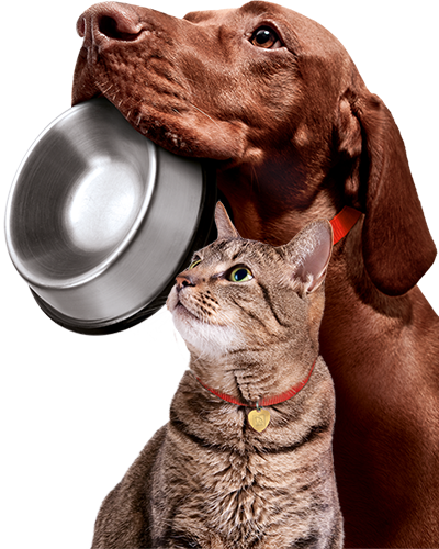 MOA_relatedproducts_dogcat